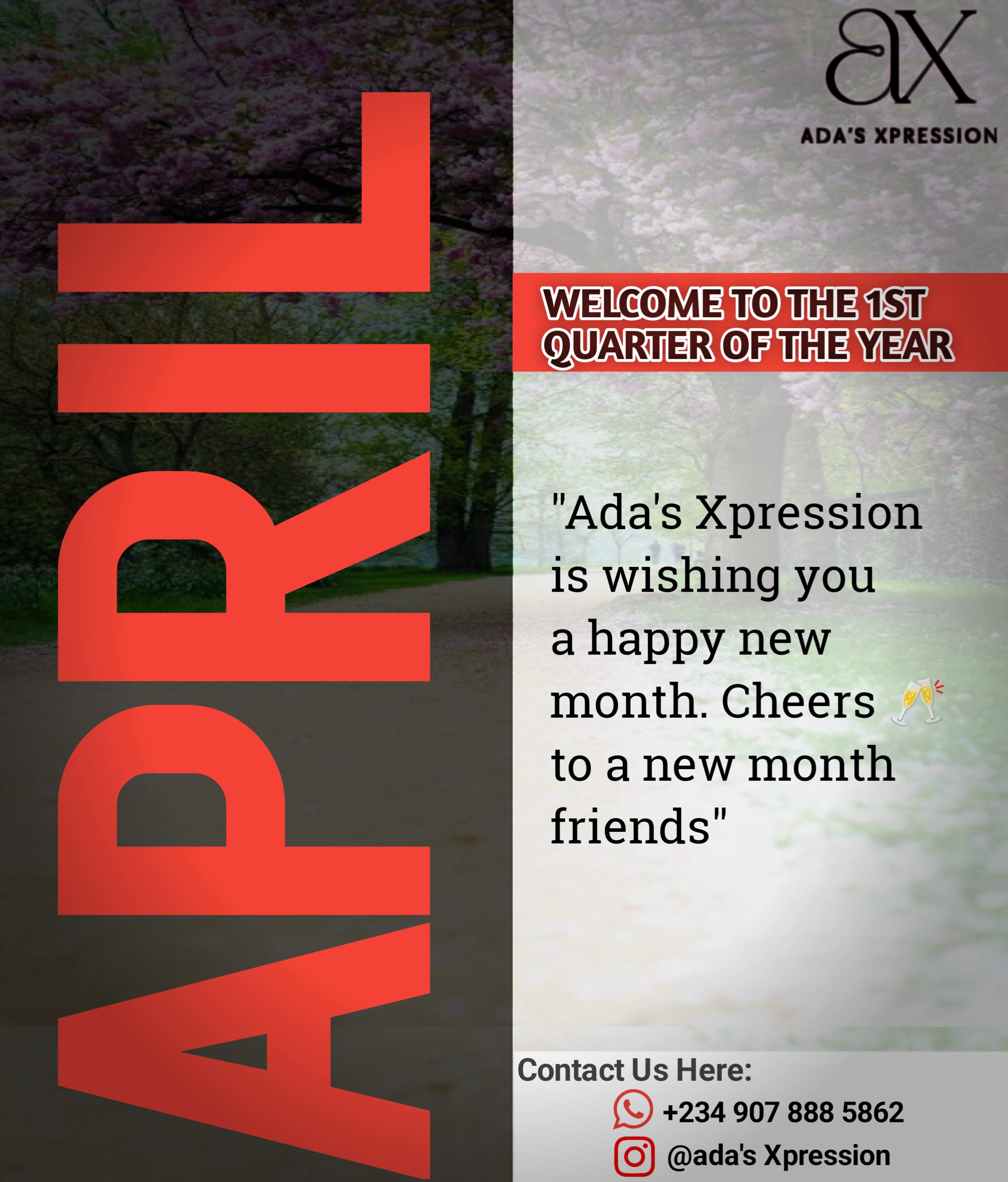 Chuksart International professional websites and graphics flyer